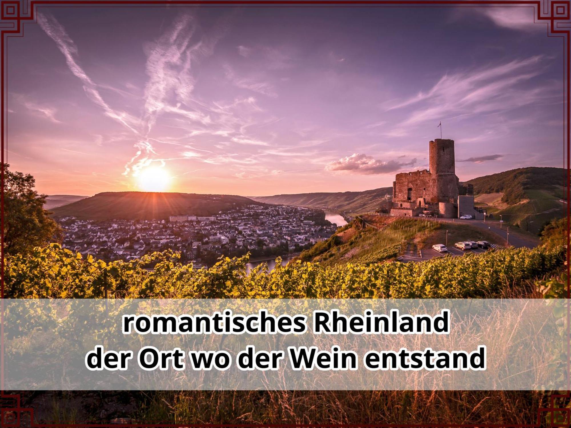 Smallsaigon Apartment Mit Guter Anbindung Zwischen Mosel Und Rhein Leiningen Exteriör bild